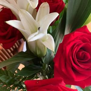 Meet your Posher, Sherri